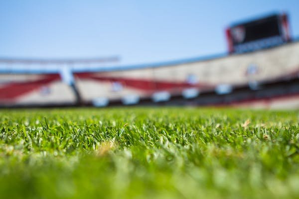 Tout savoir sur l'actualité de l'olympique lyonnais foot